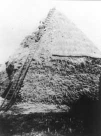 Image3