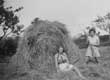 Farm Image 4