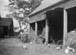 Farm Image 1
